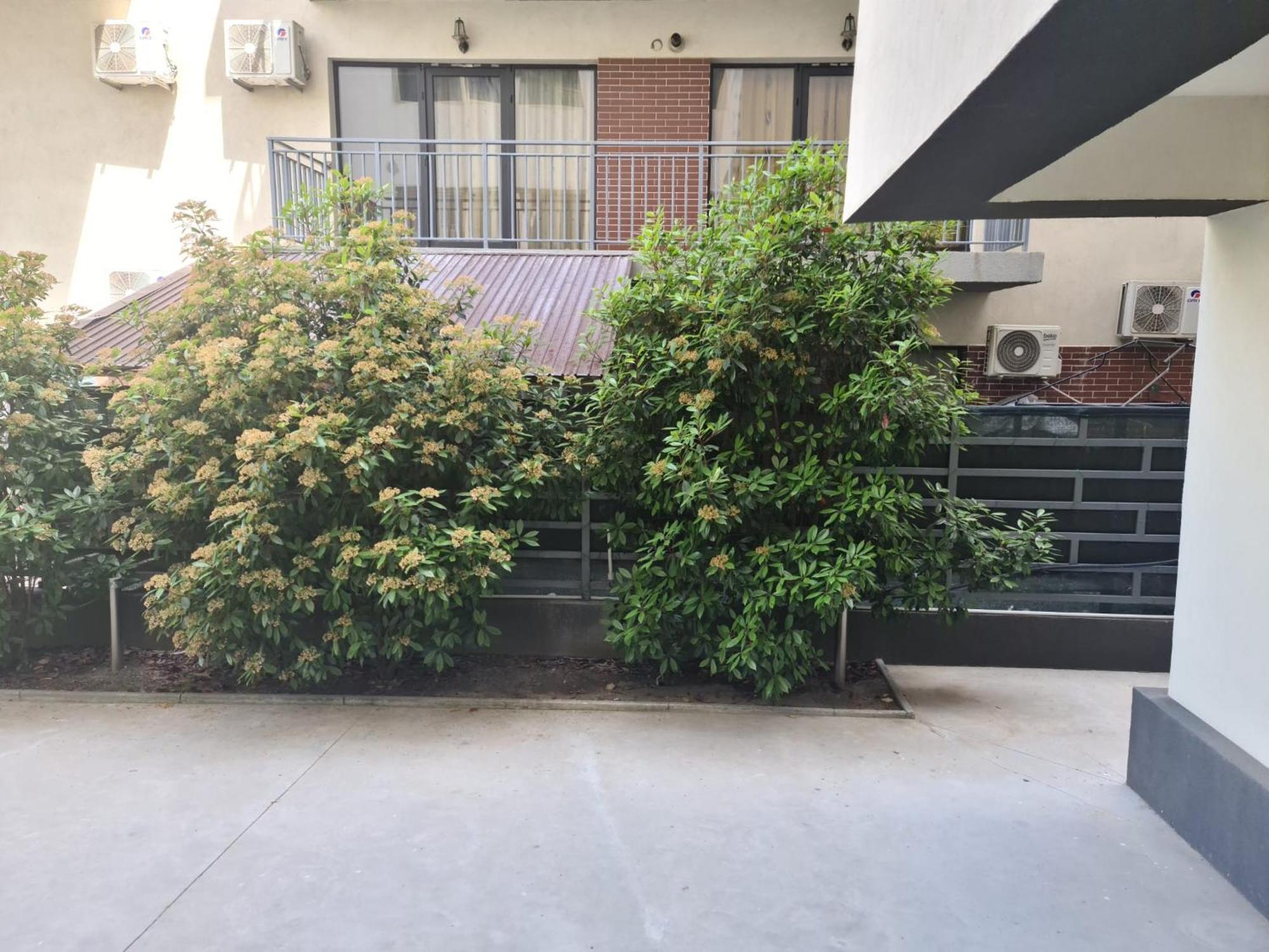 Apartament Deea Năvodari Exteriér fotografie